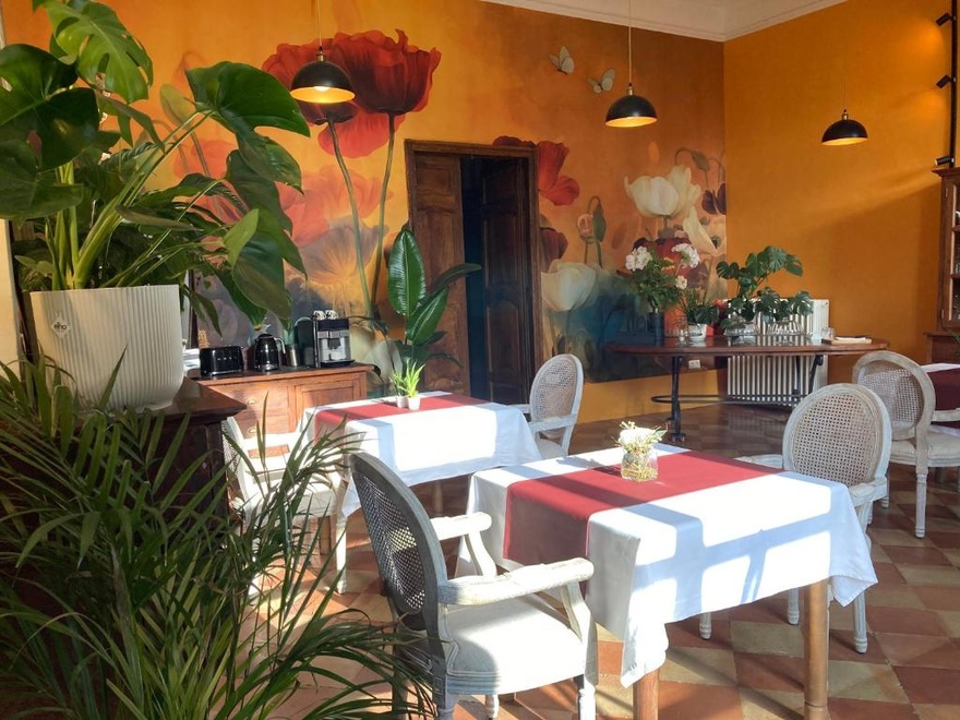 vacance-velo-france-castelnaudary-sud-ouest-nature-occitane-chambre-hote-hospitalite-luxe-voyage-decouverte