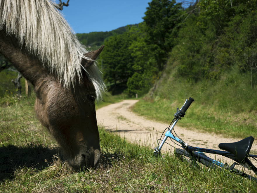 Quiétude de l'Ardèche Ardèche, Séjour à vélo, Village