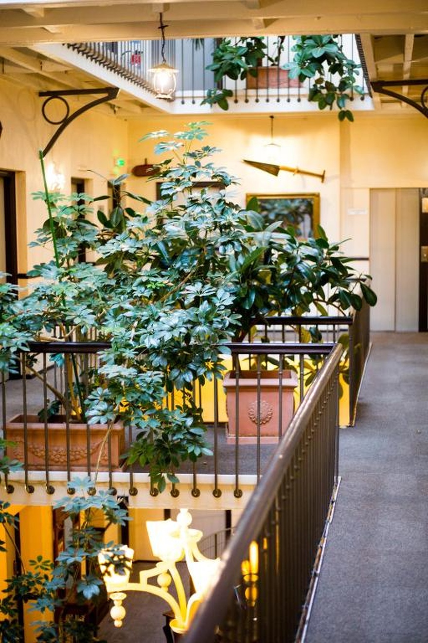 toulouse-hotel-hebergement-velo-canal-vacances-room-privilege-accueil