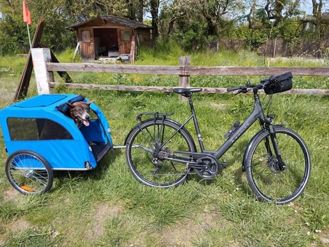 Location de remorque pour chien pour faire le Canal du Midi à vélo